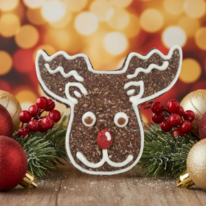 Reindeer