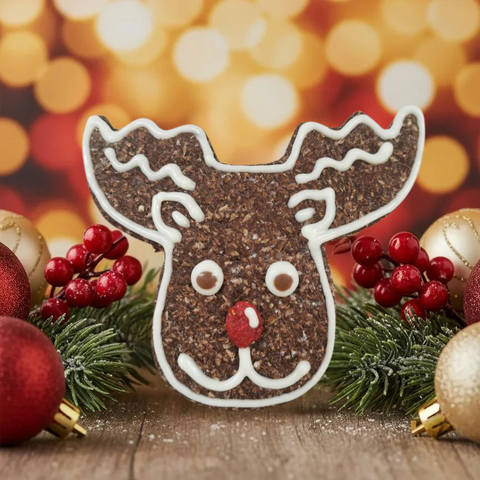 Reindeer