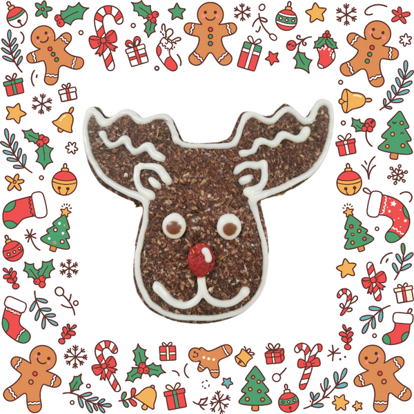 Reindeer