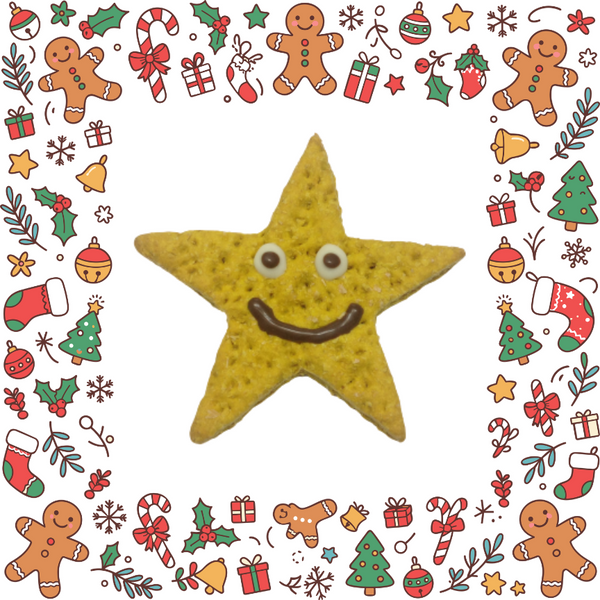 Christmas Star
