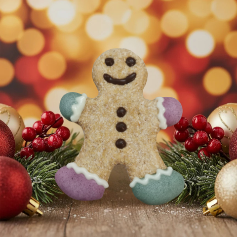 Christmas Gingerbreadman