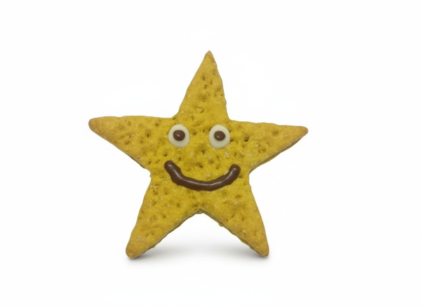 Clean Christmas Star Product Shot