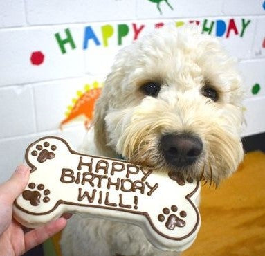 Extra Large Personalised Birthday Bone Biscuit - Fully Iced & Gift Wrapped